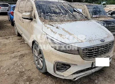 2019, Kia / Carnival, VIN: KNAME81ABKS561070, diesel