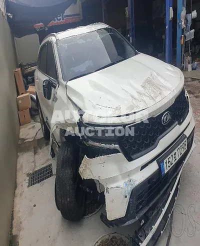 2021, Kia / Sorento, VIN: KNARL81BGMA040615, 10866 км., diesel