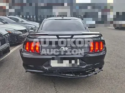 2019, Ford / Mustang, gas