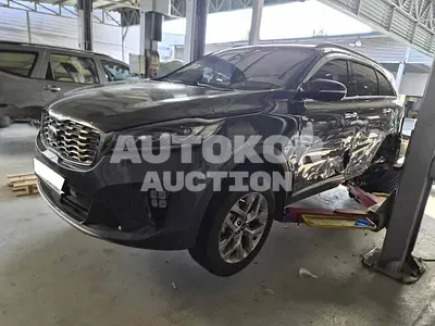 2019, Kia / Sorento, VIN: KNAPH81ABLA579111, 77500 км., diesel, 1995 куб.см.