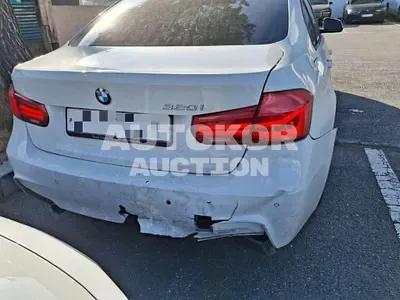 2017, BMW / 320, 173717 км., gas