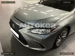 2021, Lexus / ES 300, VIN: JTHBA1C10N2007198, 30229 км., hybrid