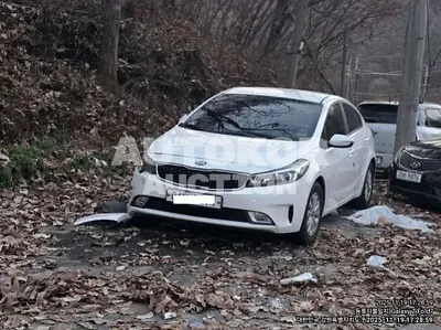 2018, Kia / K3, VIN: KNAFJ412BJA988075, 40028 км., gas
