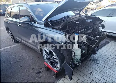 2019, Hyundai / Santa FE, VIN: KMHS281BBKU066495, diesel