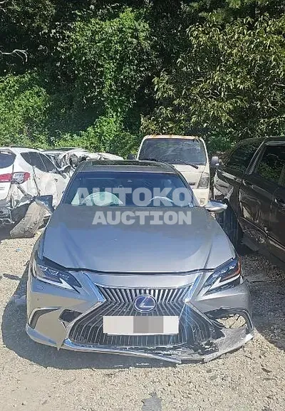 2021, Lexus / ES 300, hybrid, 2487 куб.см.