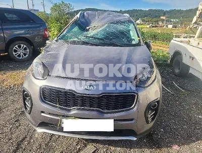 2016, Kia / Sportage, VIN: KNAPM813BGK027949, diesel