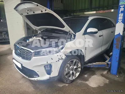 2020, Kia / Sorento, VIN: KNAPH81ABLA599664, diesel