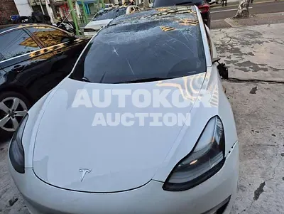 2022, Tesla / Model 3, electric, 236 куб.см.