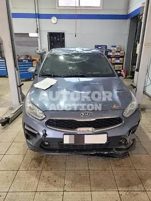 2019, BMW / Z1, 60000 км., gas, 1598 куб.см.