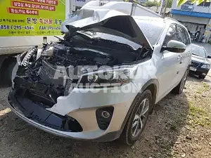 2019, Kia / Sorento, VIN: KNAPG81BDLA597519, diesel
