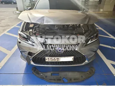 2021, Lexus / ES 300, VIN: JTHBA1C13M2006979, hybrid