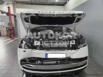 2024, Land Rover / Range Rover, VIN: SALKABB97RA253216, 3684 км., gas