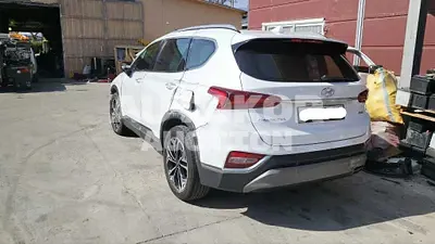 2019, Hyundai / Santa FE, VIN: KMHS381BBKU064020, diesel