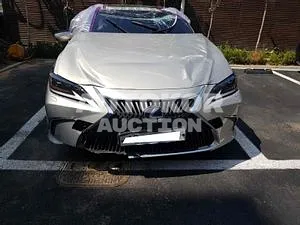 2019, Lexus / ES 300, VIN: JTHB21B1XK2046181, hybrid