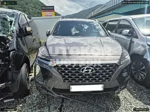 2019, Hyundai / Santa FE, VIN: KMHS581BDKU176768, diesel