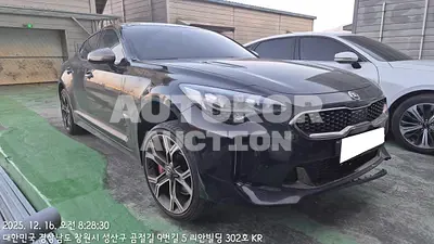 2017, Kia / Stinger, VIN: KNAE751CDJS003601, 154917 км., gas, 3342 куб.см.