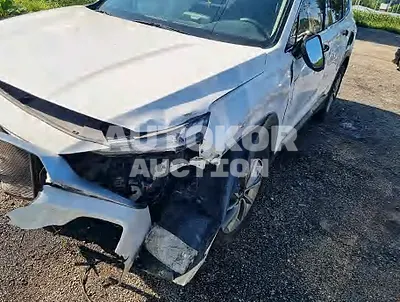 2019, Hyundai / Santa FE, VIN: KMHS281CDKU096955, diesel
