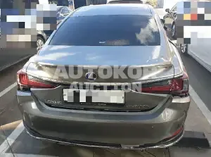 2021, Lexus / ES 300, VIN: JTHBA1C18M2002992, 22390 км., hybrid