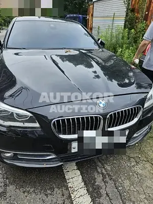 2015, BMW / 528, gas