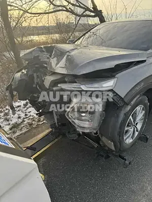 2019, Hyundai / Santa FE, VIN: KMHS281BBKU024186, diesel