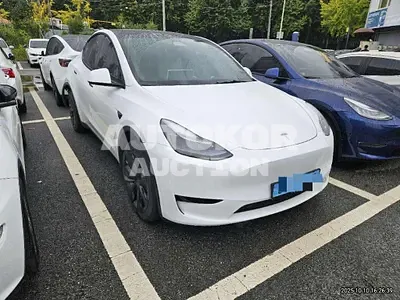 2023, Tesla / Model Y, 45389 км., electric