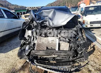 2018, Hyundai / Santa FE, VIN: KMHSW81UDJU801031, diesel