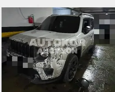 2019, Jeep / Renegade, 41304 км., gas, 2360 куб.см.
