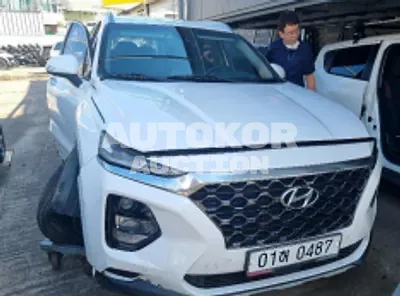 2020, Hyundai / Santa FE, VIN: KMHS281BDLU194522, diesel