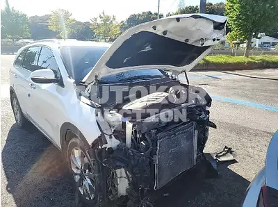 2019, Kia / Sorento, VIN: KNAPK81BBKA501472, diesel