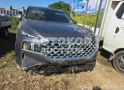 2021, Hyundai / Santa FE, VIN: KMHS381HHMU334773, 28276 км., diesel, 2200 куб.см.