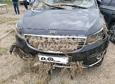 2017, Kia / Carnival, VIN: KNAMC81ABHS281610, diesel
