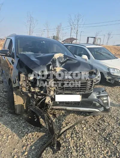 2019, Kia / Carnival, VIN: KNAME81ABKS508097, 239778 км., diesel