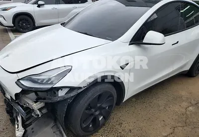 2021, Tesla / Model Y, VIN: 5YJYGDEE2MF225862, electric