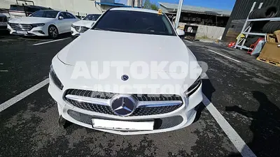 2020, Mercedes-Benz / A 220, VIN: W1K3G4EB4LJ191484, 55389 км., gas