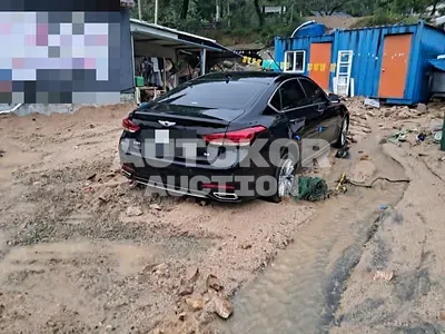2016, Genesis / G80, 54945 км., gas, 3300 куб.см.