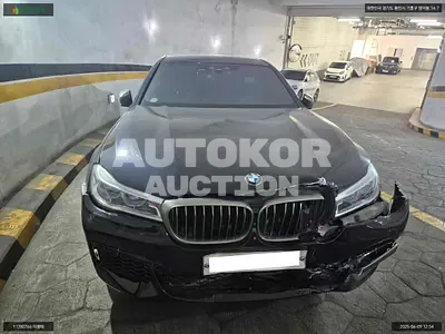 2019, BMW / 760, VIN: WBA7H6101KB245869, 241104 км., gas