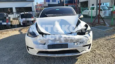 2024, Tesla / Model Y, electric, 173 куб.см.
