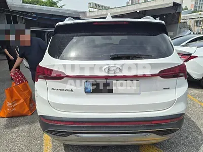 2023, Hyundai / Santa FE, 229737 км., diesel, 2200 куб.см.