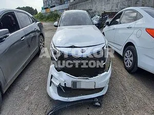 2017, Kia / K5, VIN: KNAGS416BHA154429, 86410 км., lpg