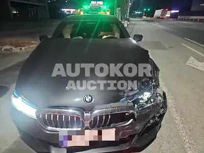 2023, BMW / 530, gas