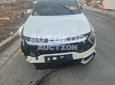 2023, Kia / Sportage, hybrid, 1600 куб.см.