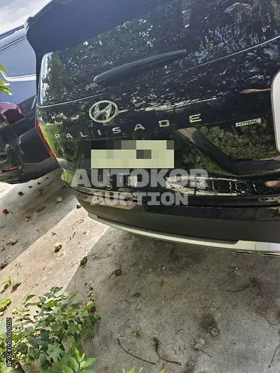 2019, Hyundai / Palisade, diesel, 2200 куб.см. 2019, Hyundai / Palisade, diesel, 2200 куб.см.