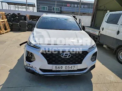 2019, Hyundai / Santa FE, VIN: KMHS281BBKU158997, diesel