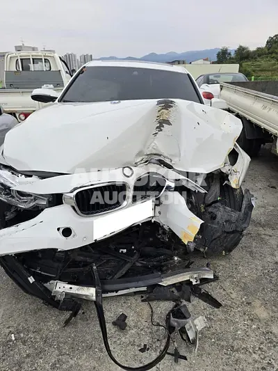 2017, BMW / 320, VIN: WBA8D1103HK776955, 126272 км., diesel