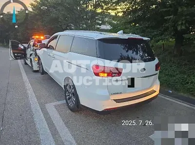 2019, Kia / Carnival, 127020 км., diesel