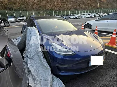 2020, Tesla / Model 3, 227335 км., electric