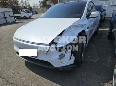 2025, Tesla / Model Y, VIN: LRWYGCEK2SC313155, 13271 км., electric