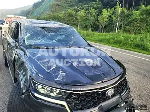 2020, Kia / Sorento, VIN: KNARH81BGMA000999, 80000 км., diesel