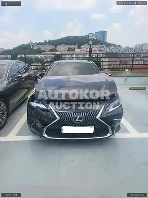 2020, Lexus / ES 300, VIN: JTHB21B10L2082995, hybrid