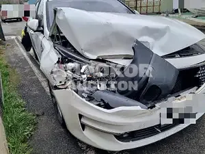 2016, Kia / K5, VIN: KNAGX411BGA056396, 83881 км., gas